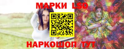 стафф Донской