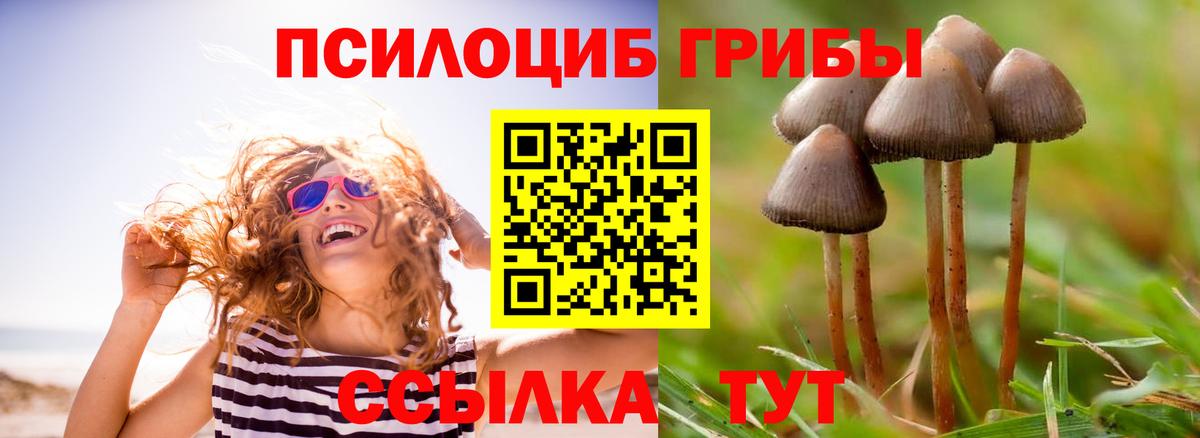 Галлюциногенные грибы ЛСД  Галлюциногенные грибы Cubensis  Вход с VPN  Валуйки 